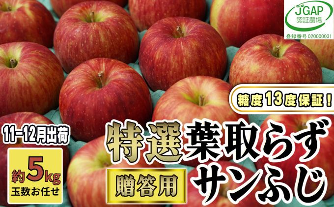 【ふるさと納税】11～12月発送【 糖度保証 】 贈答用 葉取らず サンふじ 約 5kg 【 特選 】鶴翔りんごGAP部会 青森県産 津軽産 リンゴ 林檎 果物類 高糖度 ギフト 　お届け：2025年11月20日～2025年12月25日