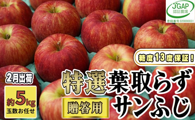【ふるさと納税】2月発送【 糖度保証 】贈答用 葉取らず サンふじ 約 5kg 【 特選 】鶴翔りんごGAP部会 青森県産 津軽産 リンゴ 林檎 果物 JGAP認証 安心 丸かじり 甘い 高糖度 ギフト 　お届け：2026年2月1日～2026年2月25日