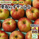 【ふるさと納税】11～12月発送【糖度保証】家庭用 葉取らず サンふじ 約5kg【訳あり】【鶴翔りんごGAP部会 青森県産 津軽産 リンゴ 林檎】　【 果物 フルーツ デザート 食後 甘味 酸味 食感 】　お届け：2023年11月下旬～2023年12月下旬