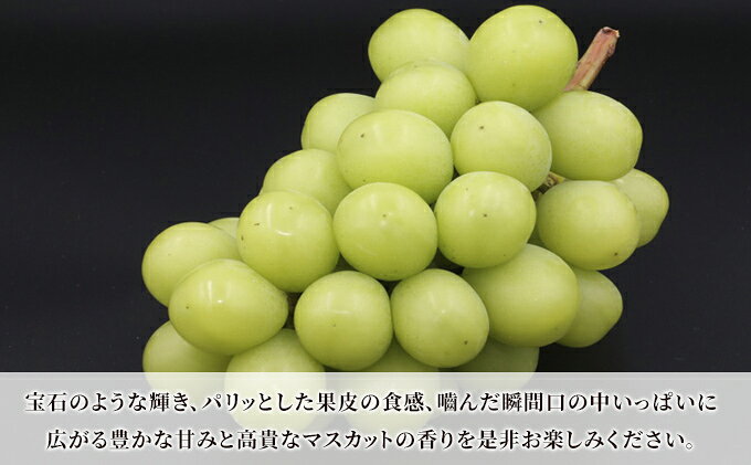 【ふるさと納税】青森県産 シャインマスカット 秀品 1房 約600g 果物 ぶどう フルーツ 豊かな甘み 種無し 皮ごと 大粒 化粧箱入り デザート 　お届け：2026年9月下旬～2026年12月中旬 f023841-tsuruta-10000162 青森県鶴田町 サンプル画像3