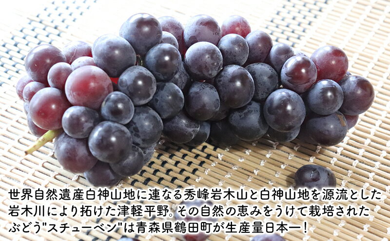 オーガニック アガベジャム ストロベリー 140g - アルマテラ
