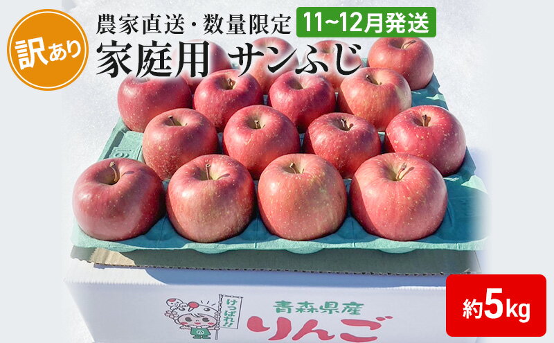 【ふるさと納税】【農家直送・数量限定】 11～12月発送 家庭用 サンふじ 約5kg 【訳あり】 　【 果物 フルーツ 青森りんご シャキシャキ 農家直送 】　お届け：2024年11月中旬～2024年12月中旬まで