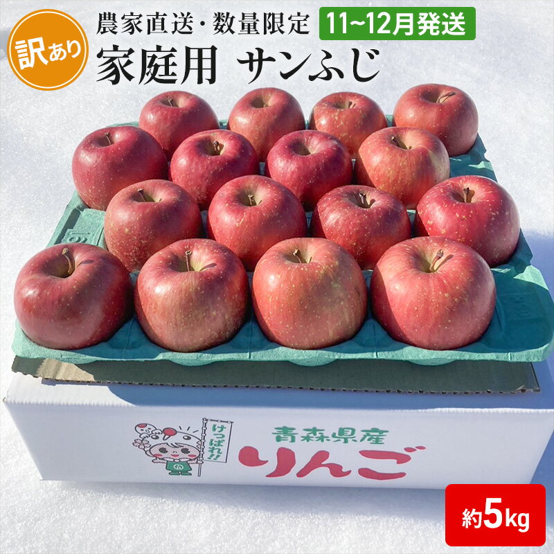 【農家直送・数量限定】 11～12月発送 家庭用 サンふじ 約5kg 【訳あり】 　【 果物 フルーツ 青森りんご シャキシャキ 農家直送 】　お届け：2024年11月中旬～2024年12月中旬まで