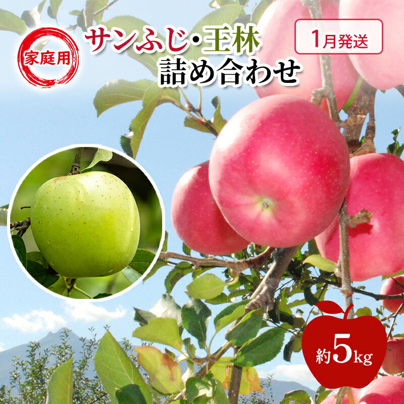 【ふるさと納税】りんご 【 1月発送 】 家庭用 サンふじ ・ 王林 詰め合わせ 約 5kg お届け:2026年1月6日~2026年1月30日