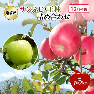 【ふるさと納税】りんご 【 12月発送 】 贈答用 サンふじ ・ 王林 詰め合わせ 約 5kg お届け:2025年12月1日~2025年12月26日