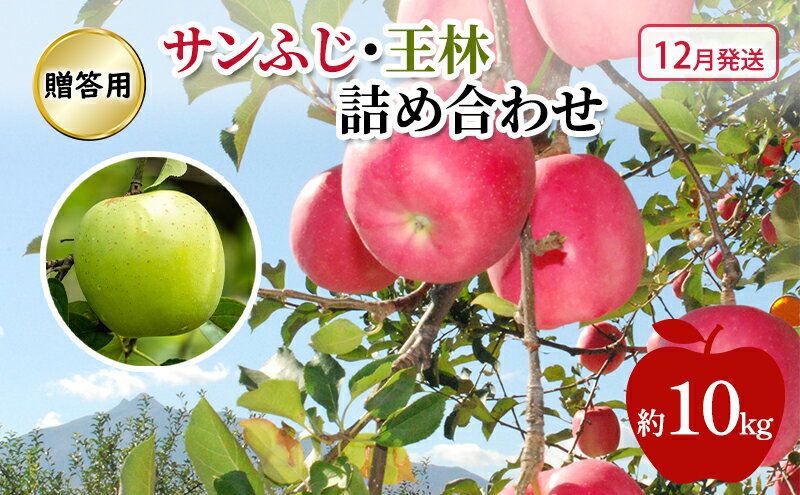【ふるさと納税】りんご 【 12月発送 】 贈答用 サンふじ ・ 王林 詰め合わせ 約 10kg　お届け：2025年12月1日～2025年12月26日