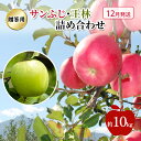 【ふるさと納税】りんご 【 12月発送 】 贈答用 サンふじ ・ 王林 詰め合わせ 約 10kg お届け:2025年12月1日~2025年12月26日