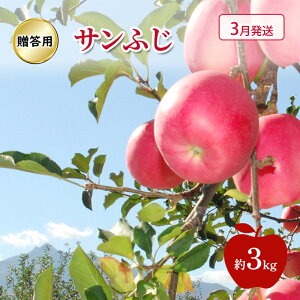 【ふるさと納税】りんご 【 3月発送 】 贈答用 サンふじ 約 3kg お届け:2026年3月1日~2026年3月29日
