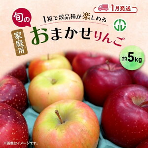 【ふるさと納税】りんご 【 1月発送 】 家庭用 旬のりんご 品種おまかせ 約 5kg 2品種~4品種 お届け:2026年1月6日~2026年1月30日
