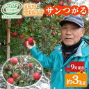 【ふるさと納税】9月発送 家庭用 葉取らず サンつがる 約 3kg【 訳あり 】鶴翔りんごGAP部会 青森県産 津軽産 リンゴ 林檎 つがる 果物類 フルーツ お届け:2025年9月5日~2025年9月20日