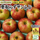 【ふるさと納税】11~12月発送【 糖度保証 】家庭用 葉取らず サンふじ 約 3kg【 訳あり 】鶴翔りんごGAP部会 青森県産 津軽産 リンゴ 林檎 果物 フルーツ デザート 甘味 酸味 食感 お届け:2025年11月20日~2025年12月25日