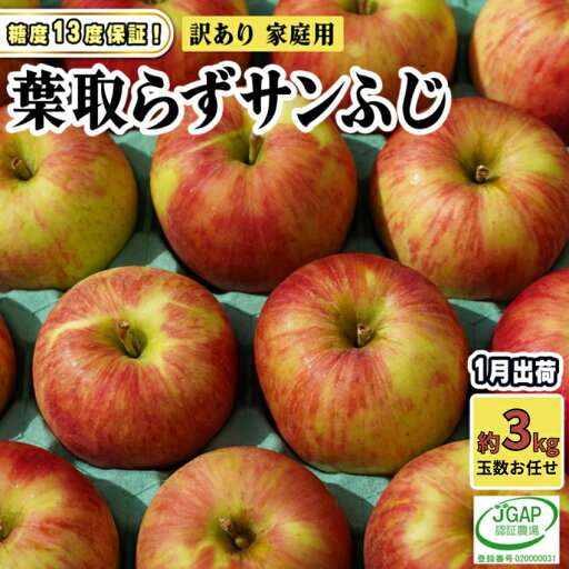 【ふるさと納税】1月発送【 糖度保証 】家庭用 葉取らず サンふじ 約 3kg【 訳あり 】鶴翔りんごGAP部会 青森県産 津軽産 リンゴ 林檎 果物 フルーツ デザート 甘味 お届け:2026年1月10日~2026年1月25日 【ふるさと納税】1月発送【 糖度保証 】家庭用 葉取らず サンふじ 約 3kg【 訳あり 】鶴翔りんごGAP部会 青森県産 津軽産 リンゴ 林檎 果物 フルーツ デザート 甘味 お届け:2026年1月10日~2026年1月25日