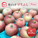 【ふるさと納税】10月発送 家庭用 訳あり 早生ふじ 約 5kg りんご リンゴ 林檎 果物 フルーツ わけあり 青森 お届け:2025年10月1日~2025年10月20日