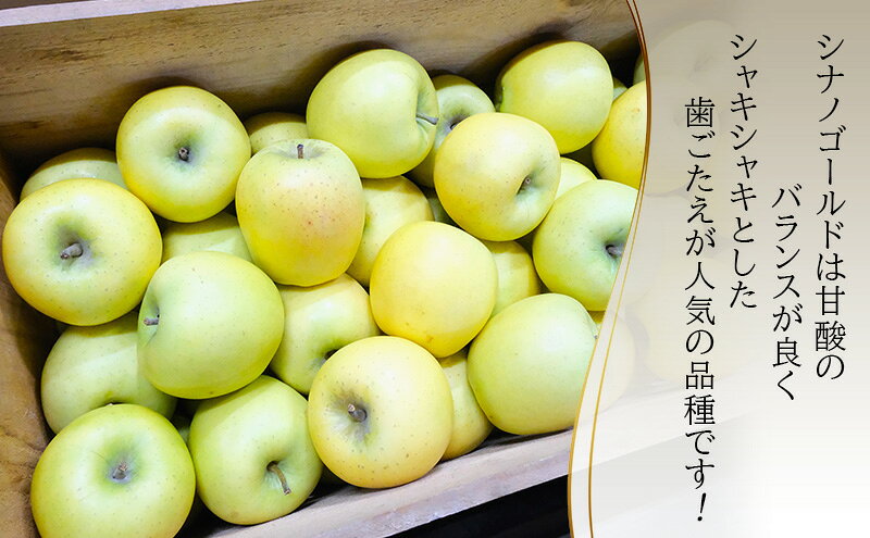 【ふるさと納税】りんご【4月クール便発送】平均糖度13度以上 訳あり品 家庭用 CA貯蔵 シナノゴールド 約5kg【青森りんご 果物 フルーツ デザート 食後 青森県産 産地直送 贈り物】　お届け：2027年4月上旬～2027年4月下旬まで f023841-tsuruta-10000319 青森県鶴田町 サンプル画像3