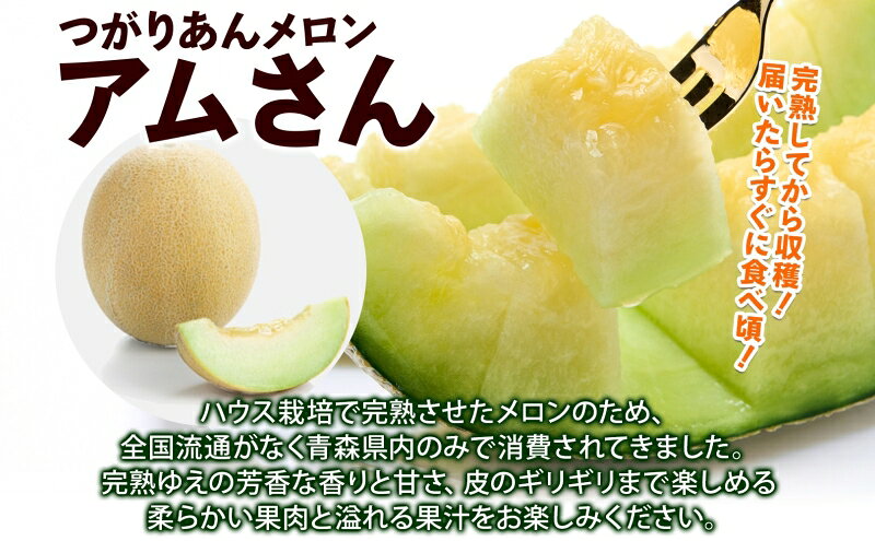 【ふるさと納税】青森県産 つがりあんメロン 「アムさん」 2Lサイズ 2玉 完熟 甘い ジューシー ハウス栽培 弘果弘前中央青果 産地直送 メロン フルーツ 果物 ギフト 贈答 青森県 鶴田町　お届け：2026年6月下旬～7月下旬