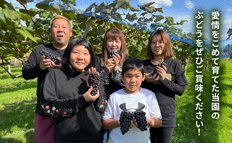 青森県鶴田町の【ふるさと納税】完熟スチューベン至福のぶどうジュース 1000ml × 2本セット　青森県 鶴田町産｜アングル3