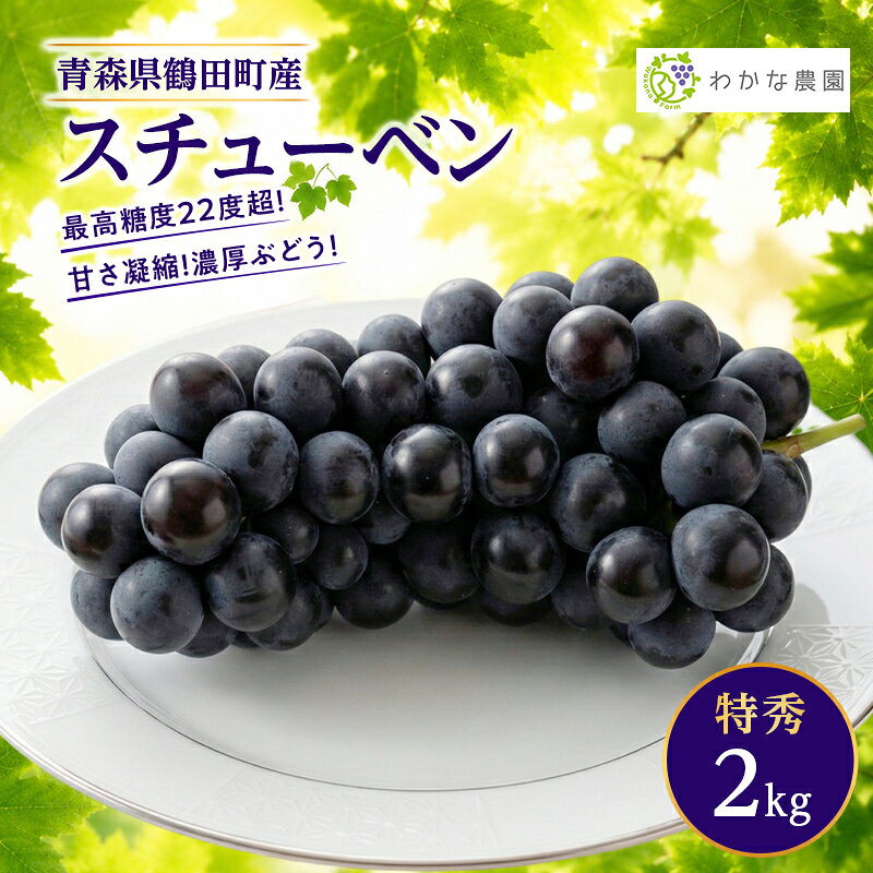 最高糖度22度超!甘さ凝縮!濃厚ぶどうスチューベン(特秀)2kg お届け:2027年1月15日まで