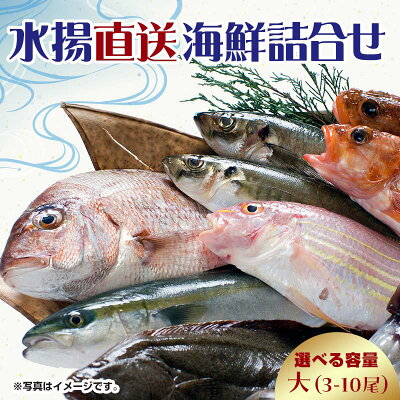 楽天ふるさと納税　【ふるさと納税】中泊水揚直送 海鮮詰合せ 大 （3～10尾程度） ※下処理済み 【徐福の里物産品直売所】 旬 詰め合わせ 魚 海鮮 ウスメバル メバル めばる 直送 ソイ カレイ ヒラメ 真鯛 タイ イカ タコ F6N-018