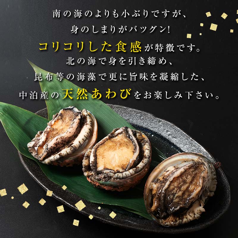 【ふるさと納税】中泊直送 天然 ”活” 黒あわび 【選べる容量】 約500g / 約1kg / 約2.5kg / 約4kg 【卓立水産】貝 海鮮 津軽海峡 活鮑 活あわび 活アワビ 黒鮑 黒アワビ アワビ 鮑 天然 産地直送 海産 魚貝 魚介 中泊町 青森 F6N-026var