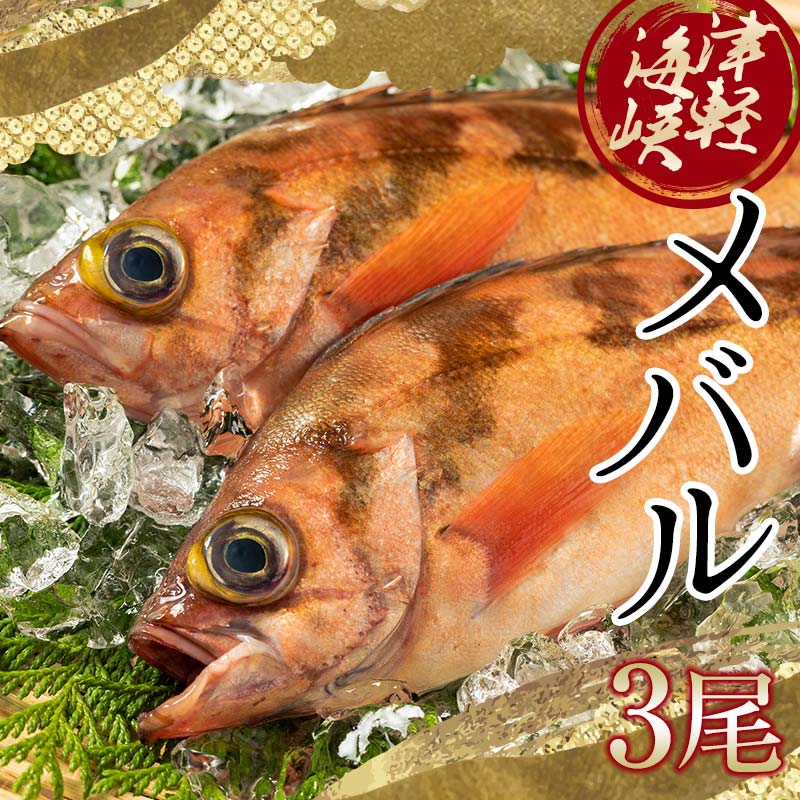 小泊港水揚げ 津軽海峡メバル 姿3尾 ※下処理済み [卓立水産]魚 海鮮 ウスメバル メバル めばる 津軽海峡 1尾 丸ごと 津軽海峡 高級 海産物 刺身 煮付け 中泊町 青森 F6N-020
