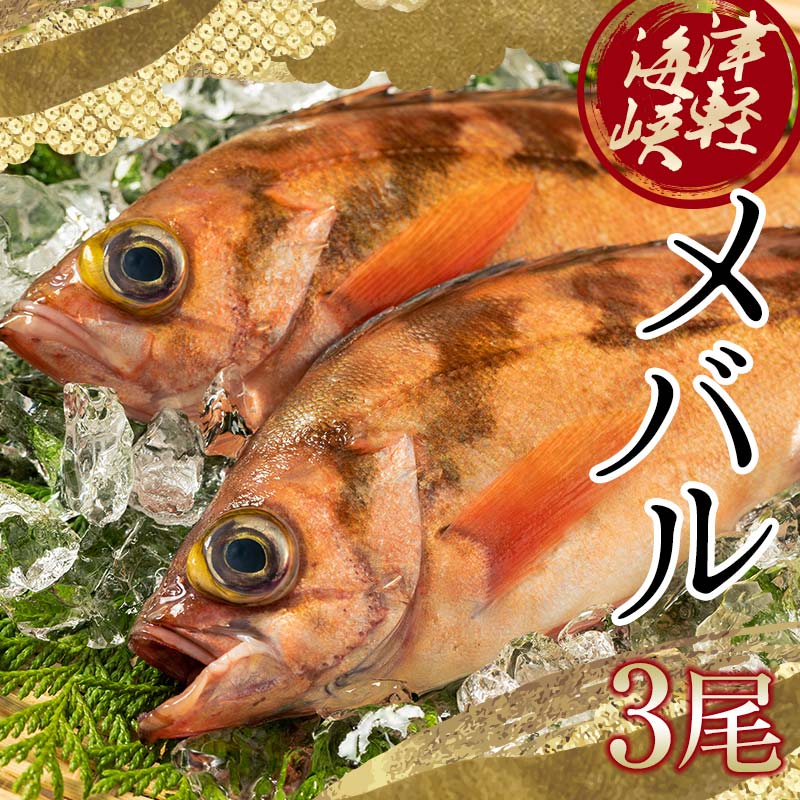 小泊港水揚げ 津軽海峡メバル 姿3尾 ※下処理済み [卓立水産]魚 海鮮 ウスメバル メバル めばる 津軽海峡 1尾 丸ごと 津軽海峡 高級 海産物 刺身 煮付け 中泊町 青森 F6N-020