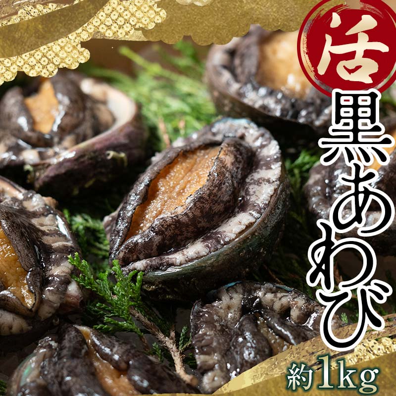 【ふるさと納税】中泊直送 天然 ”活” 黒あわび 約1kg 【卓立水産】貝 海鮮 津軽海峡 アワビ 鮑 天然 産地直送 海産 魚貝 魚介 中泊町 青森 F6N-026