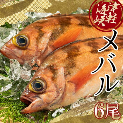 小泊港水揚げ 津軽海峡メバル 姿6尾 ※下処理済み 【卓立水産】魚 海鮮 ウスメバル メバル めばる 津軽海峡 1尾 丸ごと 津軽海峡 高級 海産物 刺身 煮付け 中泊町 青森 F6N-027