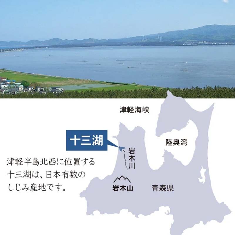 【ふるさと納税】青森県 十三湖産 冷凍しじみ （中粒・冷凍） 約2kg 【小野や】貝 しじみ 蜆 シジミ 魚貝 魚貝類 魚介類 冷凍 調理 料理 中泊町 青森 F6N-031