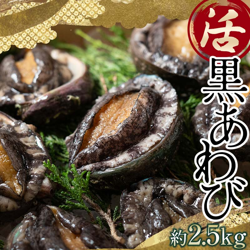 【ふるさと納税】中泊直送 天然 ”活” 黒あわび 約2.5kg 【卓立水産】貝 海鮮 津軽海峡 活鮑 活あわび 活アワビ 黒鮑 黒アワビ アワビ 鮑 天然 産地直送 海産 魚貝 魚介 中泊町 青森 F6N-032のサムネイル