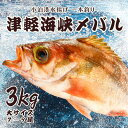 【ふるさと納税】小泊港水揚げ 一本釣り 津軽海峡メバル 約3kg（7尾～9尾入） 【卓立水産】魚 海鮮 ウスメバル メバル めばる 高級 海産物 刺身 煮付け 中泊町 青森 F6N-033