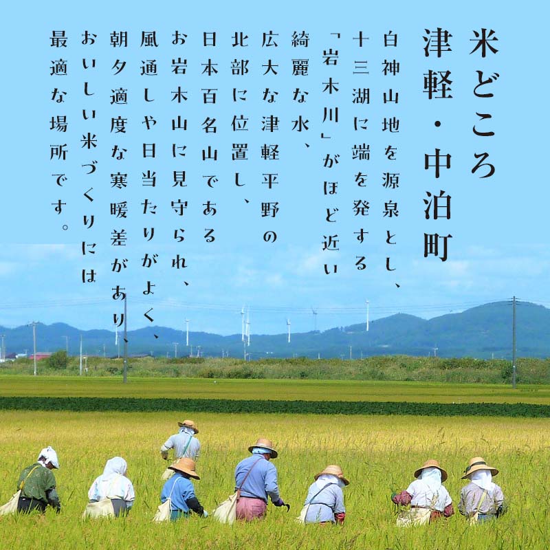 【ふるさと納税】つがるロマン 中泊産 玄米 《定期便》【5ヶ月連続】こだわりの有機米 全50kg（10kg×5回）＜有機JAS認証＞ 【瑞宝(中里町自然農法研究会)】無農薬 自然農法 農薬不使用 青森 津軽 F6N-103