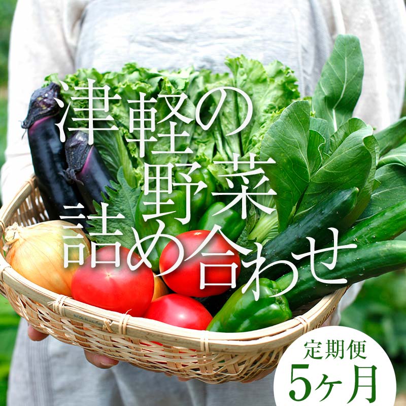 【ふるさと納税】津軽の季節の野菜詰め合わせセット 《定期便》【5ヶ月連続】 【中泊町特産物直売所ピ..