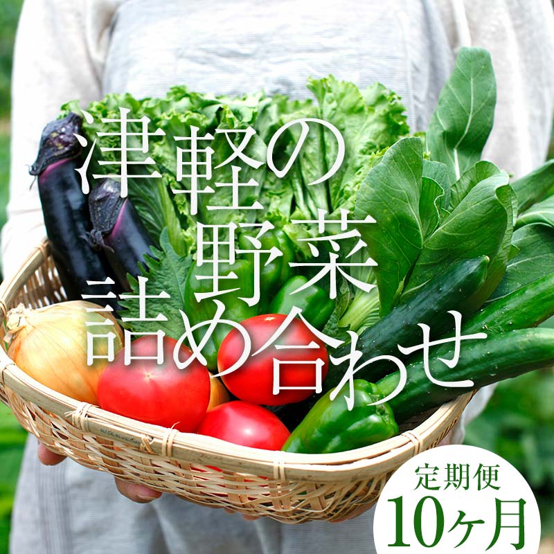 【ふるさと納税】津軽の季節の野菜詰め合わせセット 《定期便》【10ヶ月連続】 【中泊町特産物直売所ピュア】旬の野菜 旬野菜 旬 新鮮 食品 グルメ 詰め合わせ ファーマーズマーケット 甘い サラダ 国産 お取り寄せ 青森 F6N-102