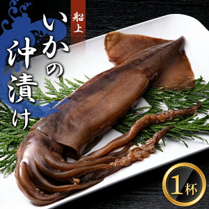 【ふるさと納税】 小泊産 船上いかの沖漬け 1杯 【徐福の里物産品直売所】 イカ 烏賊 するめ スルメ スルメイカ おつまみ 海鮮 魚介類 魚介 海産物 BBQ チルド 冷凍 中泊町 青森 F6N-131