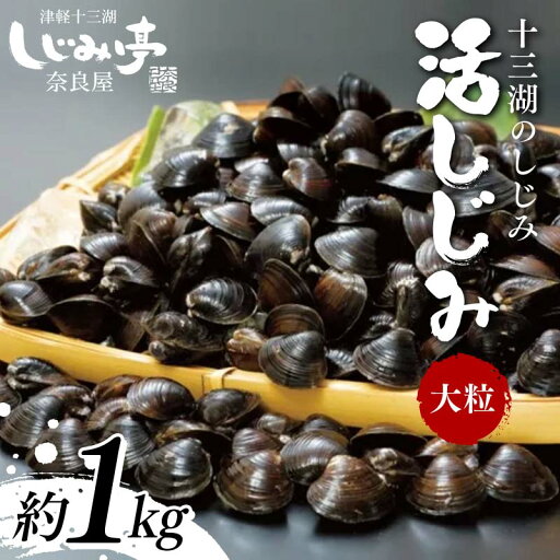 【ふるさと納税】 十三湖のしじみ 活しじみ 大粒 約1kg 【奈良屋】 蜆 シジミ 魚貝類 貝 オルニチン 十三 F6N-161 【ふるさと納税】 十三湖のしじみ 活しじみ 大粒 約1kg 【奈良屋】 蜆 シジミ 魚貝類 貝 オルニチン 十三 F6N-161