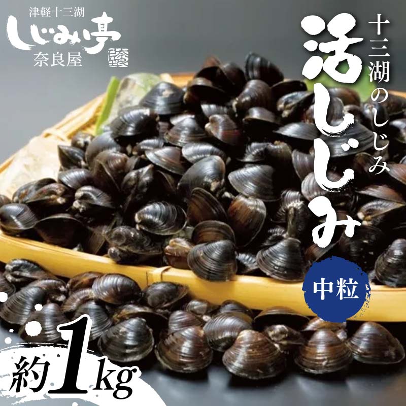 【ふるさと納税】 十三湖のしじみ 活しじみ 中粒 約1kg 【奈良屋】 蜆 シジミ 魚貝類 貝 オルニチン 十三 F6N-162