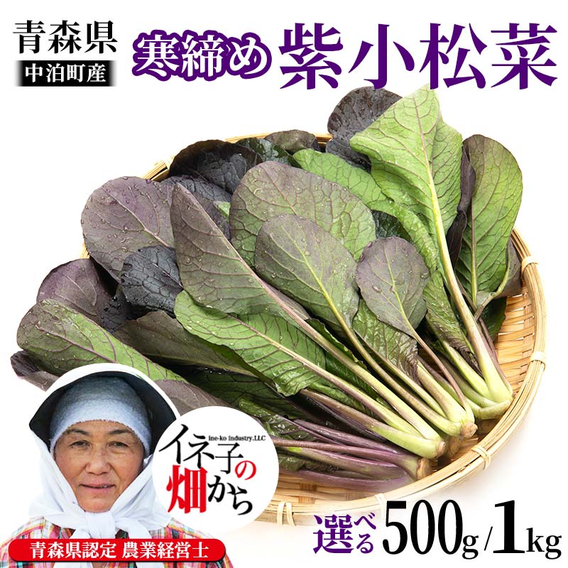 [選べる容量]寒締め紫小松菜 約500g 約1kg[イネ子の畑から] 新鮮 産地直送 サラダ おひたし おみそしる 旬 野菜 やさい こまつな F6N-284var
