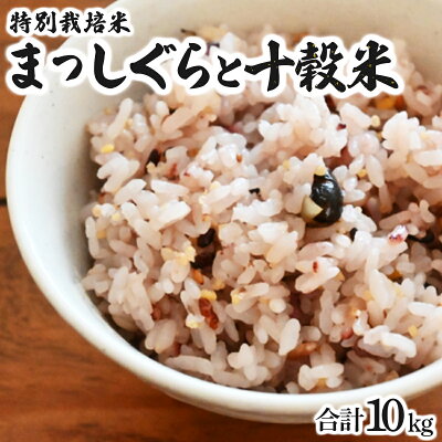 楽天ふるさと納税　【ふるさと納税】 青森県産みよこ米10kgと十穀米セット 青森県 七戸町 米 十穀 国産 白米 雑穀米 豆 炊き込みご飯 混ぜご飯 健康 ヘルシー まっしぐら 特別栽培米【02402-0219】