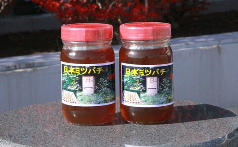 日本ミツバチの百花蜜(280g×2) 【02402-0046】【ふるさと納税】
