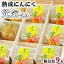 29位! 口コミ数「0件」評価「0」 青森県産 熟成にんにく元気くんセットA 送料無料 青森県 七戸町 にんにく ガーリック 野菜 低臭真空処理 黒にんにく