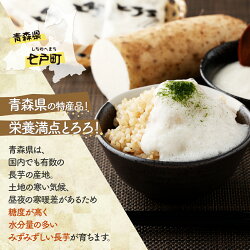 【ふるさと納税】ネバリスター冷凍とろろパック(50g×30個) 青森県 七戸町 送料無料 長芋 山芋 イチョウ芋 大和芋 粘り 小分け 個包装 便利 プレーン 無添加 【02402-0216】･･･ 画像1