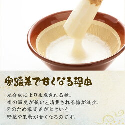 【ふるさと納税】ネバリスター冷凍とろろパック(50g×30個) 青森県 七戸町 送料無料 長芋 山芋 イチョウ芋 大和芋 粘り 小分け 個包装 便利 プレーン 無添加 【02402-0216】･･･ 画像2