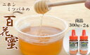 【ふるさと納税】【数量限定】日本ミツバチの百花蜜2本セット(300g×2)【ハチミツ 蜂蜜 はちみつ ニホンミツバチ 瓶詰め 国内産 青森県 七戸町】【0240...