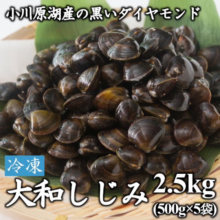 [レビューキャンペーン]砂抜き済みで手間いらず!冷凍・小川原湖産大和しじみ2.5kg(500g×5袋) [02408-0073]# 大和しじみ しじみ 小川原湖 東北町 青森県 砂抜き 冷凍 対島商店