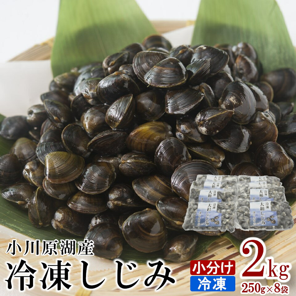 【ふるさと納税】砂抜き済みで手間いらず！冷凍・小川原湖産大和しじみ2kg（250g×8袋）　【02408-0074...