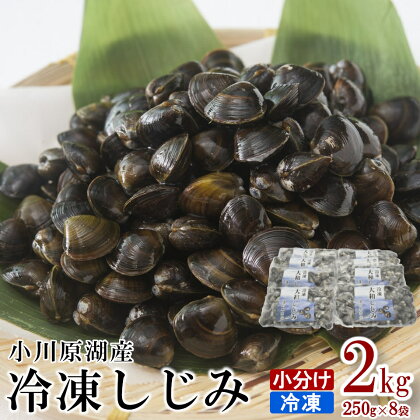 《レビューキャンペーン》砂抜き済みで手間いらず！冷凍・小川原湖産大和しじみ2kg（250g×8袋）　【02408-0074】# 大和しじみ しじみ 小分け 砂抜き済み 小川原湖 東北町 青森県 砂抜き 冷凍 対島商店