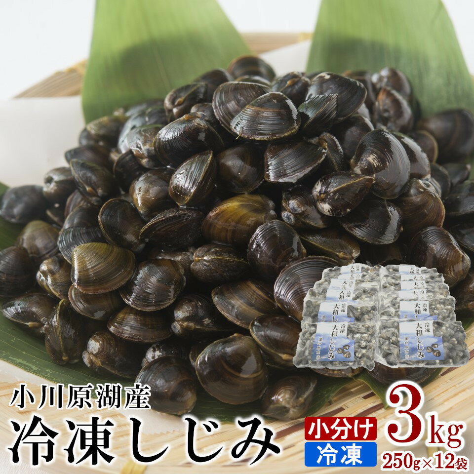 返礼品詳細 名称 冷凍しじみ（大） 原材料名 しじみ 内容量 250g×12袋 保存方法 冷凍保存 賞味期限 製造日から1年 事業者 株式会社　対島商店 青森県上北郡東北町 旭南4-31-591 ・ふるさと納税制度の趣旨から東北町に住民票がある方からのご寄附に対しては返礼品をお送りしておりませんのでご理解のほどよろしくお願いいたします。 ・ふるさと納税よくある質問はこちら ・寄附申込みのキャンセル、返礼品の変更・返品はできません。あらかじめご了承ください。青森県東北町・小川原湖産の黒いダイヤモンド 一粒、二粒、三粒と一粒ずつ、しじみちゃんに「元気ですかー?」と 声をかけるような思いで製品を作り上げました。 冷凍しじみは洗浄・砂抜き済みなので、届いてすぐに調理できます。 まずはお湯を沸かし、沸騰したら冷凍しじみをそのままお湯にダイブ！！ ダイブしたしじみからは体にうれしい「オルニチンエキス」がたっぷりと出てきます。 どうぞ、小川原湖の黒いダイヤモンドをご賞味ください！ 【提供：株式会社　対島商店】 キャッチフレーズは「食べるしじみ」 青森県東北町の小川原湖産大和しじみは「食べるしじみ」をキャッチフレーズに、 5年ほど成長させてから漁獲しているのでうま味や出汁が濃厚です。 「食べるしじみ」の旬は夏の「土用しじみ」冬の「寒しじみ」 小川原湖産大和しじみには旬の時期が2つあります。 産卵期で身が大きく出汁やうま味が濃厚になる7～8月の「土用しじみ」、 そして身が引き締まりうま味が凝縮する1～2月の「寒しじみ」です。 競り落とされるしじみは職人が見極め 小川原湖で水揚げされたしじみは、小川原湖漁業協同組合の荷捌き施設で仲買人によって競り落とされていきます。 夏場のピーク時には1日約5000キロのしじみが上場。 その中から、この道30年以上の仲買人が極上のしじみを見極めます。 見極めるポイントは色つや、粒の大きさなど。 競りの開始前から漁師が運び入れたしじみを入念にチェックしていきます。 その見極めこそが「対島商店の美味しいしじみ」につながっています。 徹底した選別作業でサイズを統一 水揚げされたしじみは、漁師によってある程度選別されますが、これで十分とは 言えません。 対島商店では選別機を使って、空のしじみの除去・泥が入ったものを 徹底的に選別し、統一したサイズで出荷しています。 じっくり砂抜き。すぐ食べられます 対島商店では、食卓へしじみが届いた際にすぐ食べられるよう、じっくり時間をかけて砂抜きを行います。 時間が短いとしっかり砂抜きがされず、時間が長いとしじみが死んでしまったり、せっかくの美味しさが台無しになったりしてしまいます。 そこで季節や気温・水温に応じてしじみの気持ちになりながら、適切な時間と管理の下で砂抜きを行っています。 1袋にしじみがたっぷり！濃厚なダシと旨みを楽しんでください しじみは冷凍することで美味しさ・栄養が増すとされ、対島商店では1袋250gごとに包装しています。 量が多いので、家族で贅沢にしじみを使って味噌汁や炒め物などの料理をしたいときにもおすすめです。 また、冷凍なので使いたい分だけ取って、残りはそのまま冷凍保存してください。 なお、真空パックでお届けしますが、お届けの際の衝撃等でまれに真空が取れているケースもあります。 品質に問題はありませんので、安心してお召し上がりください。 宝湖・小川原湖 全国で11番目に広い「小川原湖」は、高瀬川によって太平洋とつながる青森県最大の汽水湖です。 地域に伝わる独自の生産方法や風土を活かした産品の中から、高い評価を得られたもののみ取得できる「地理的表示（GI）保護制度」、 これを取得した小川原湖産「大和しじみ」をはじめ、日本一の漁獲量を誇るシラウオやワカサギ、そのほかモクズガニ、天然ウナギなど、 地元では「宝湖（たからこ）」と呼ばれるほど、水産資源に恵まれています。 また、小川原湖、隣接する姉沼には「小川原湖伝説」という1300年ほど前の物語が残っており、 東北町の人々にとって、文化・歴史的にも重要な湖となっております。 提供：株式会社　対島商店 自然美と伝説が残る「小川原湖」。 そこから採れた新鮮な魚貝を原料に、昔ながらの味造りで製造した元祖いかだ焼きを始め、 佃煮・カラットなど添加物を一切使わず、甘さをおさえ、さっぱりした味に仕上げた製品で好評を得ております。 しじみはすぐ召し上がれるように砂抜きをいたしまして、しじみの美味しさをそのままパックにいたします。 多くの皆様からご好評いただいております！ 東北町ではお寄せいただいたふるさと納税（寄附金）を、 下記の各事業に活用させていただきます。 1．小川原湖を中心とした環境保全事業 2．地域交流と産業育成事業 3．子供を生み育てる環境づくり事業 4．将来のまちを担う人材育成事業 5．その他活力あるまちづくり事業 申込フォームにて希望される使い道をお選びください。 寄附金受領証明書は入金確認後、注文内容確認画面の【注文者情報】に記載の住所にお送りいたします。 また、ワンストップ特例申請書はご希望の方へ寄附金受領証明書とともにお送りいたします。 発送の時期は、寄附確認後1か月以内を目途に、お礼の品とは別にお送りいたします。