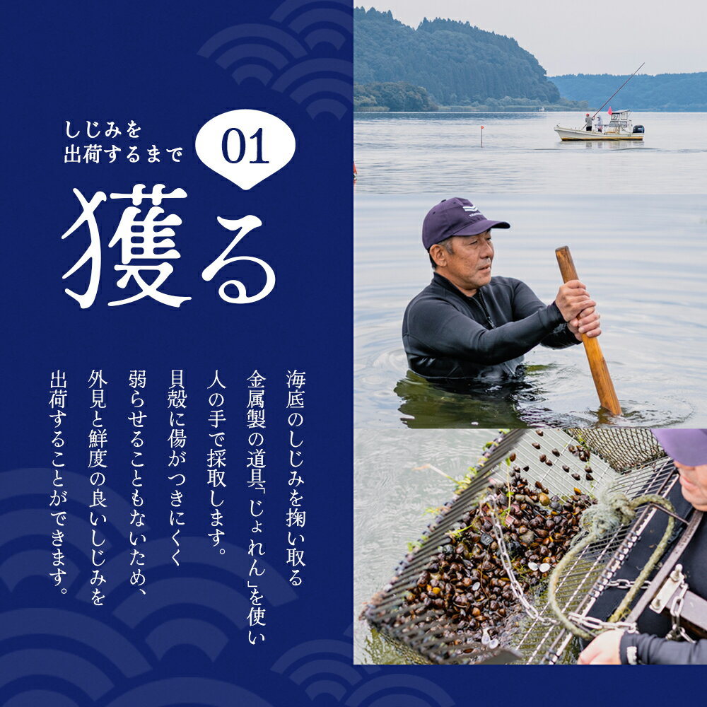 青森県東北町の画像3