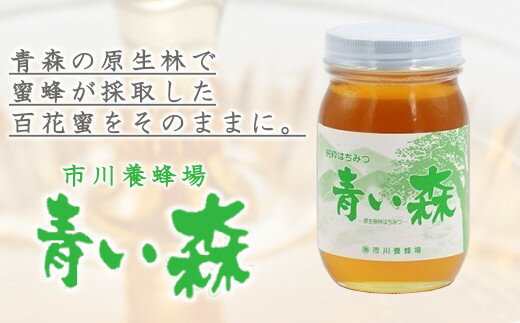 【ふるさと納税】青い森の蜂蜜(600g×1本)　【02408-0011】# ハチミツ はちみつ 百花蜜 東北町 青森県 市川養蜂場 道の駅 おがわら湖