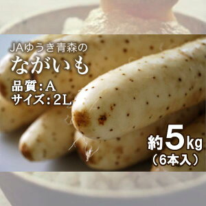 【ふるさと納税】青森県特産ながいも　A2L（6本入）約5kg　【02408-0036】 # 長芋 品...